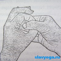 Йога для пальцев (мудры)