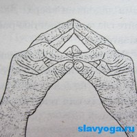 Йога для пальцев (мудры)