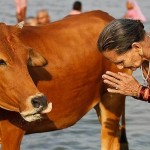 Притча о йоге и корове
