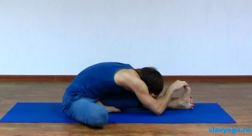 Изображение - Йога для раскрытия тазобедренных суставов dzhanu-shirshasana2-500x271